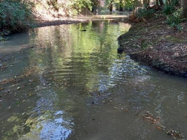 Sítio e chácara venda em Região Geográfica Imediata de Cascavel, Três Barras do Paraná