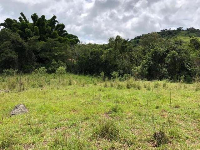 Sítio e chácara venda em Região Geográfica Imediata de São João Nepomuceno - Bicas, São João Nepomuceno