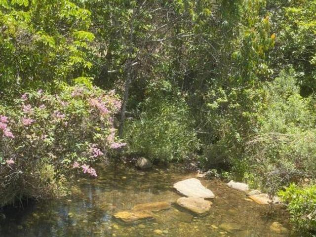 Sítio e chácara venda em Cavalcante, Região Geográfica Intermediária de Luziânia-Águas Lindas de Goiás