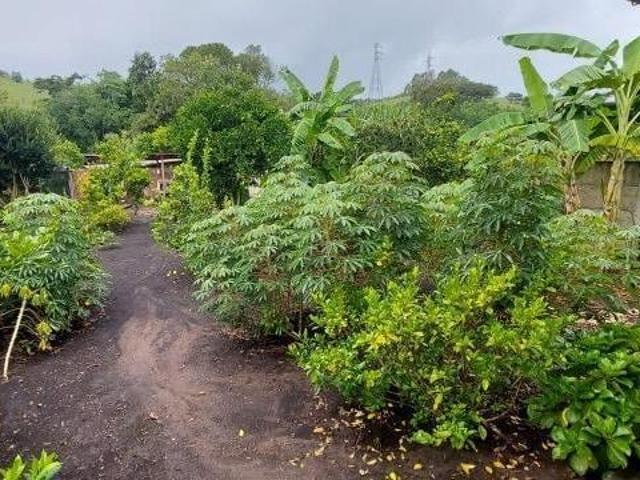 Sítio e chácara venda em Região Geográfica Imediata de Caxambu - Baependi, Caxambu