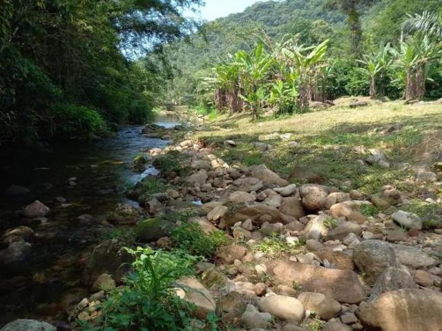 Sítio e chácara venda em Peruíbe, Região Geográfica Intermediária de São Paulo