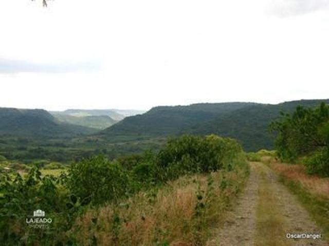 Sítio e chácara venda em Região Geográfica Imediata de Encantado, Anta Gorda