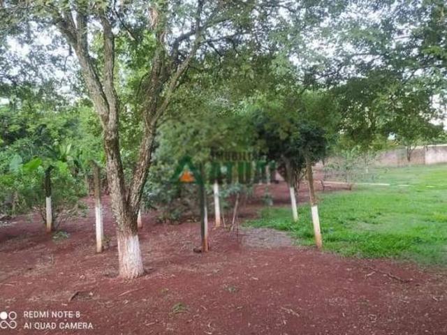 Sítio e chácara venda em Região Geográfica Imediata de Londrina, Cambé