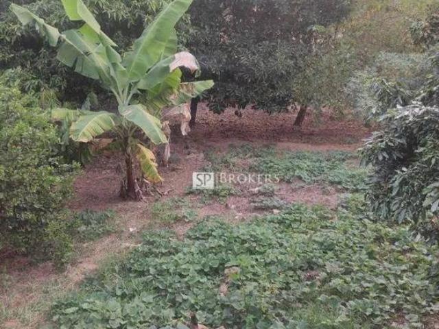 Sítio e chácara venda em Região Imediata de Campinas, Região Metropolitana de Campinas