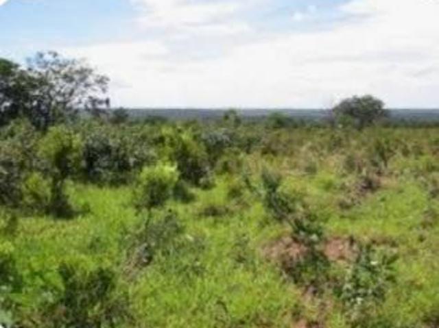 Sítio e chácara venda em Região Geográfica Imediata de Curvelo, Felixlândia