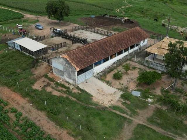 Sítio e chácara venda em Região Geográfica Imediata de Dores do Indaiá, Bom despacho