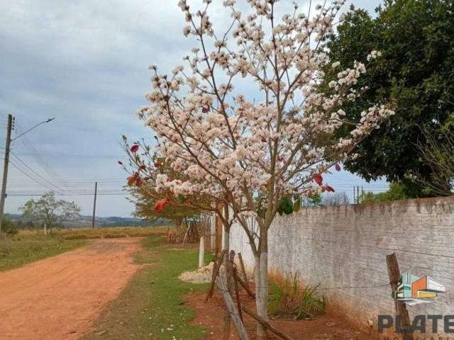 Sítio e chácara venda em Região Imediata de Tatuí, Região Metropolitana de Sorocaba
