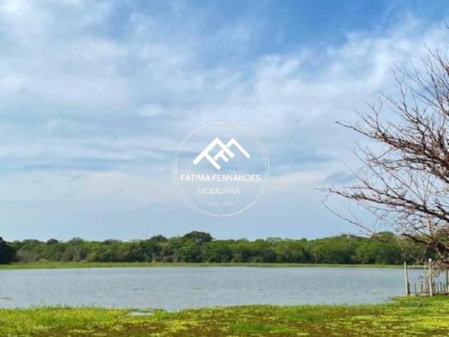 Sítio e chácara venda em Região Geográfica Imediata de Londrina, Sertanópolis
