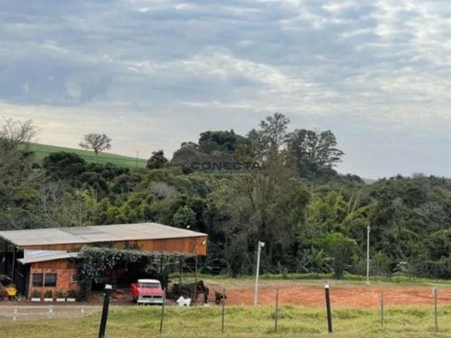 Sítio e chácara venda em Região Geográfica Imediata de Londrina, Rolândia