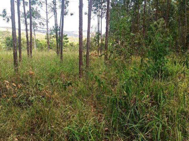 Sítio e chácara venda em Região Geográfica Imediata de Sete Lagoas, Paraopeba