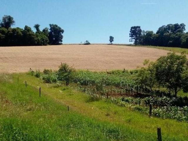 Sítio e chácara venda em Região Geográfica Imediata de Cruz Alta, Ibirubá