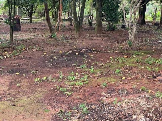 Sítio e chácara venda em Região Geográfica Imediata de Guaxupé, Arceburgo