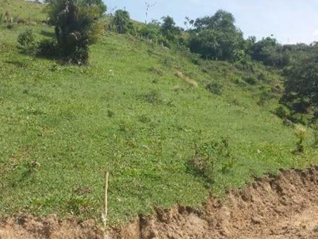 Sítio e chácara venda em Região Imediata de São José dos Campos, Região Metropolitana do Vale do Paraíba e Litoral Norte