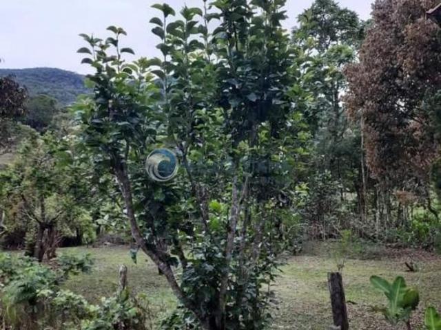 Sítio e chácara venda em Região Geográfica Imediata de São Lourenço, Soledade de Minas