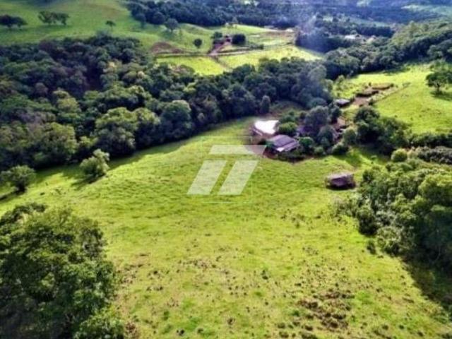 Sítio e chácara venda em Região Geográfica Imediata de Cascavel, Lindoeste