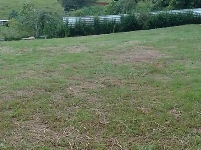 Sítio e chácara venda em Região Imediata de Guaratinguetá, Região Metropolitana do Vale do Paraíba e Litoral Norte