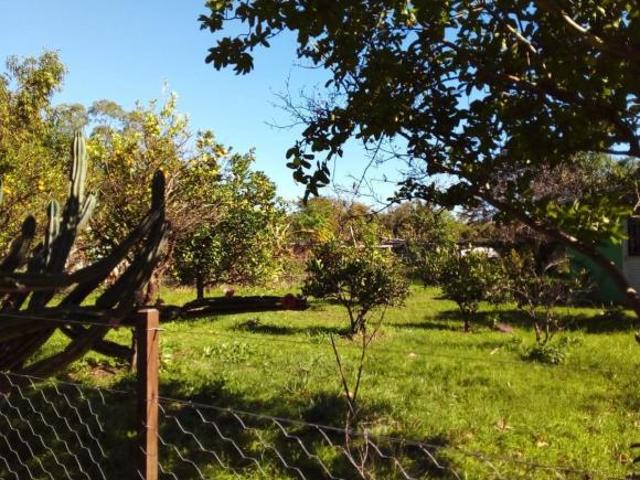 Sítio e chácara venda em Região Geográfica Imediata de Santana do Livramento, Rosário do Sul