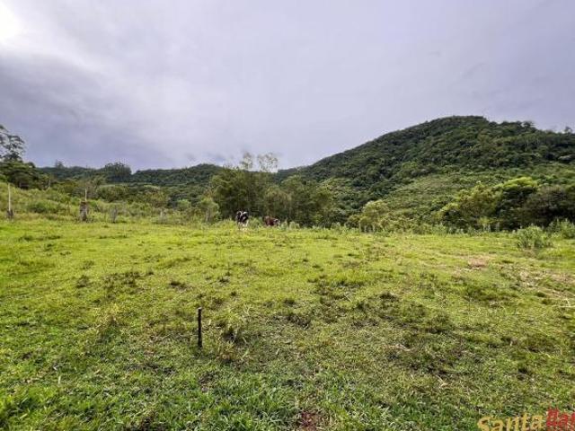 Sítio e chácara venda em Região Geográfica Imediata de Santa Cruz do Sul, Vale do Sol
