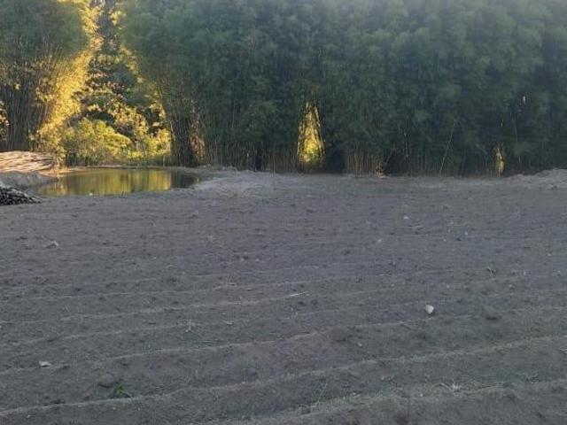 Sítio e chácara venda em Piracema