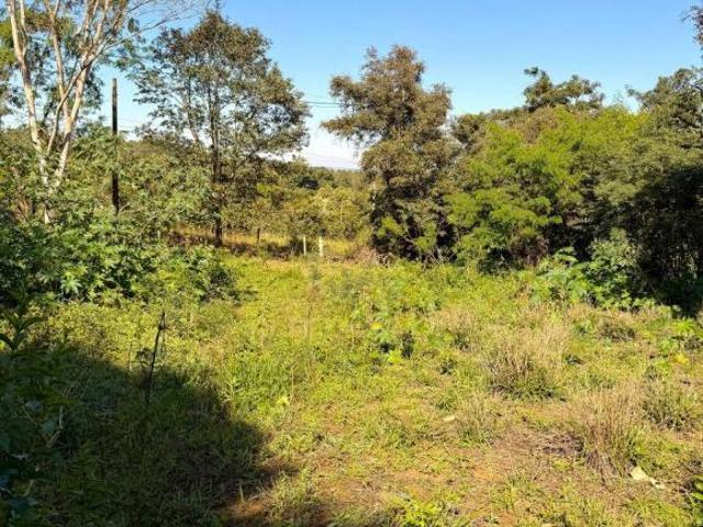 Sítio e chácara venda em Itapira, Região Geográfica Intermediária de Campinas