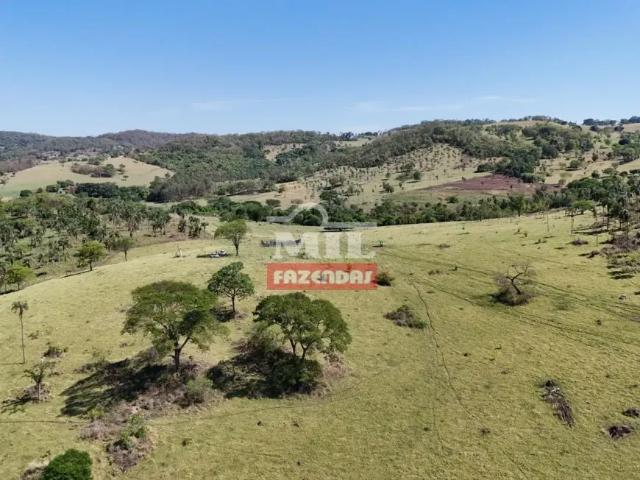 Fazenda venda em Região Geográfica Imediata de Inhumas - Itaberaí - Anicuns, Inhumas