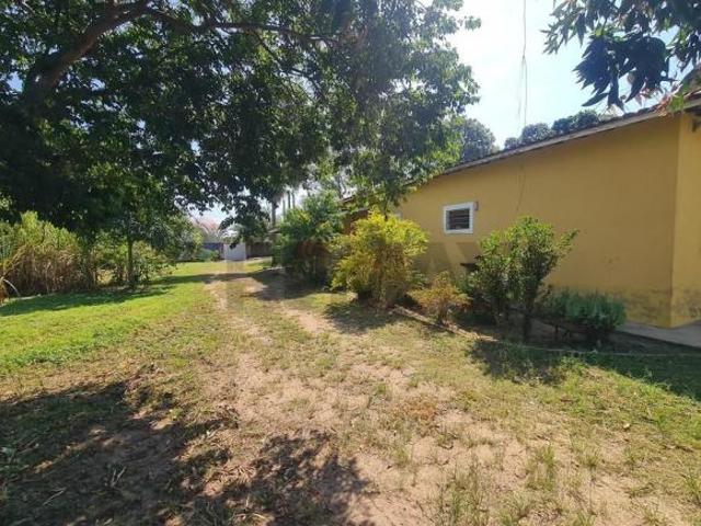 Sítio e chácara venda em Holambra