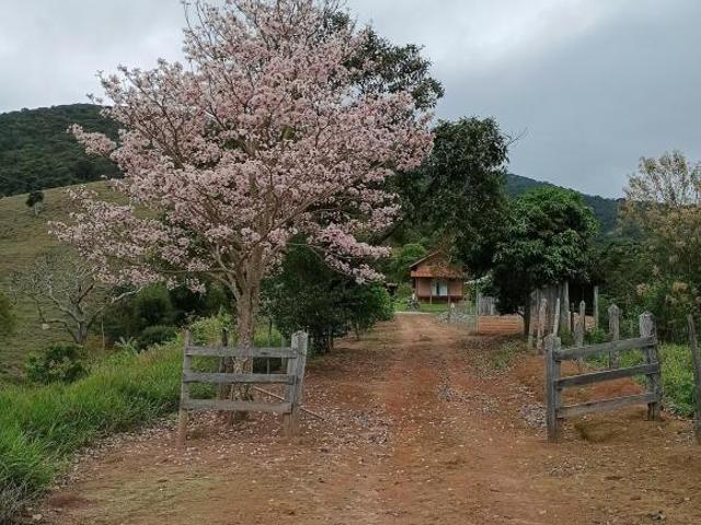 Sítio e chácara venda em Santana do Capivari, Pouso Alto