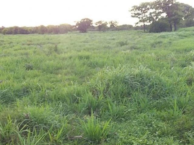 Sítio e chácara venda em Região Geográfica Imediata de Januária, Pedras de Maria da Cruz