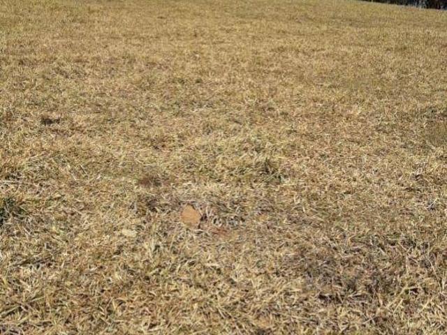 Sítio e chácara venda em Região Geográfica Imediata de Pouso Alegre, Pouso Alegre