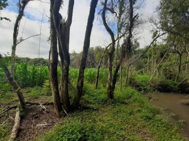 Sítio e chácara venda em Região Geográfica Imediata de Curitiba, Região Metropolitana de Curitiba
