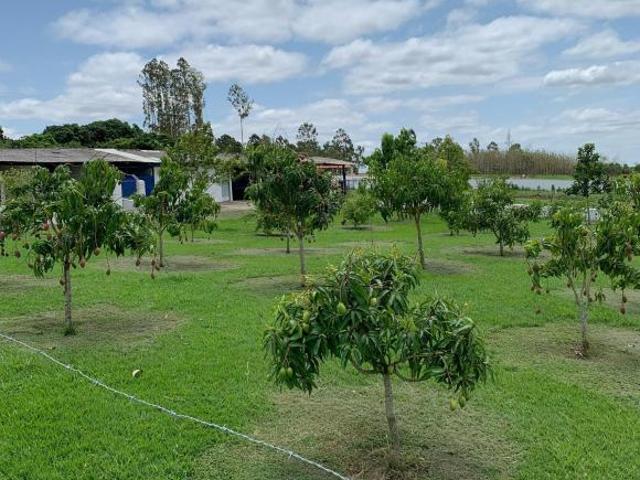 Sítio e chácara venda em Região Imediata de Tatuí, Região Metropolitana de Sorocaba