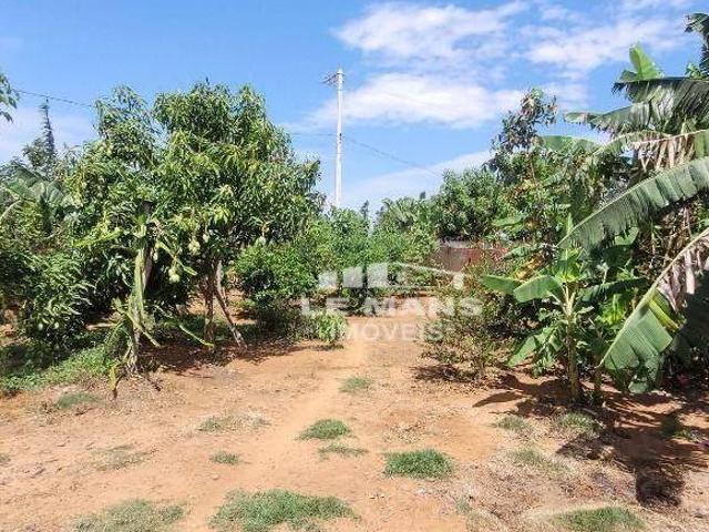 Sítio e chácara venda em Região Imediata de Piracicaba, Região Metropolitana de Piracicaba