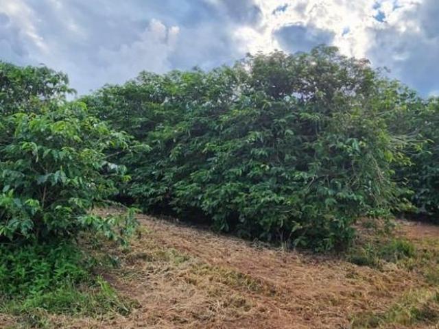 Sítio e chácara venda em Região Geográfica Imediata de Três Corações, Campanha