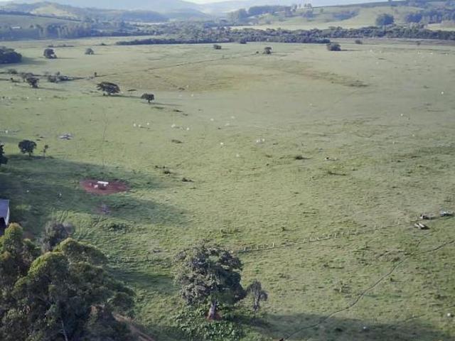 Sítio e chácara venda em Região Geográfica Imediata de Varginha, São Gonçalo do Sapucaí