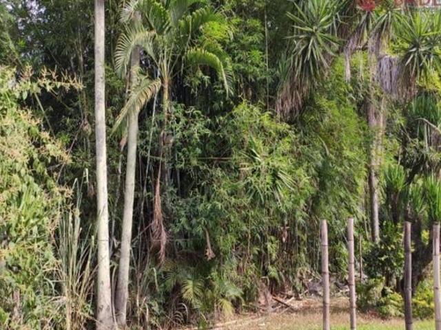 Sítio e chácara venda em Região Imediata de Amparo, Monte Alegre do Sul