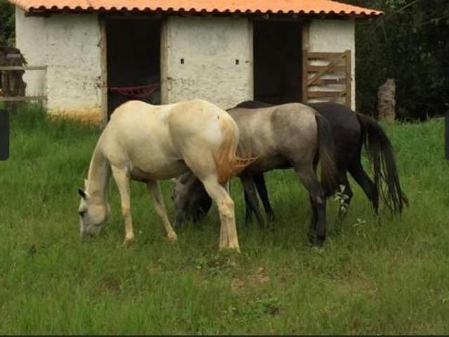 Sítio e chácara venda em Região Geográfica Imediata de Sete Lagoas, Funilândia