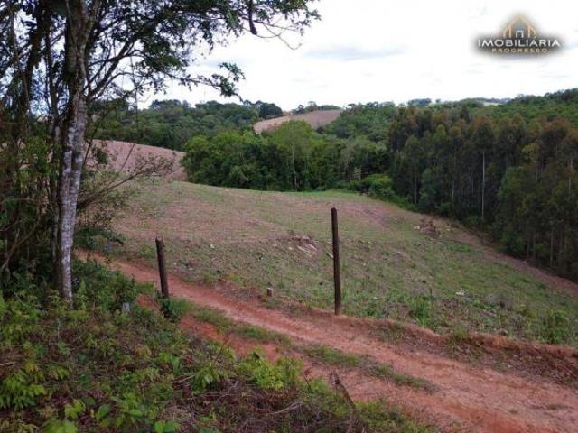 Sítio e chácara venda em Região Geográfica Imediata de Curitiba, Região Metropolitana de Curitiba