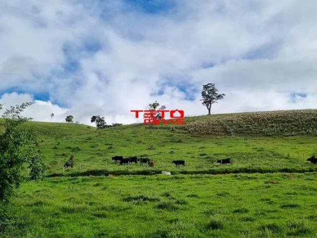 Sítio e chácara venda em Região Geográfica Imediata de São Lourenço, Pouso Alto