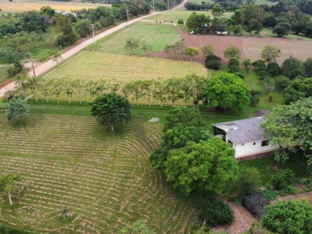 Sítio e chácara venda em Região Geográfica Imediata de Santa Cruz do Sul, Santa Cruz do Sul