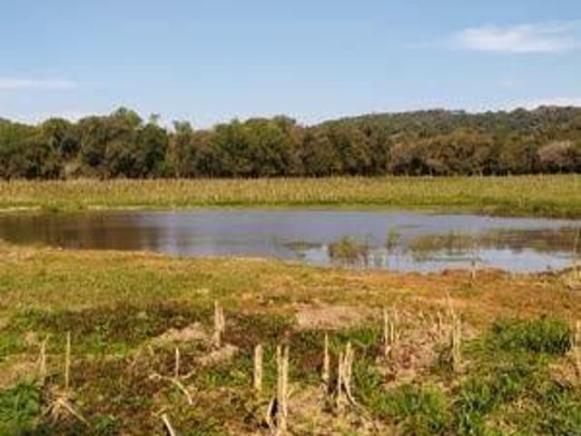 Sítio e chácara venda em Região Geográfica Imediata de Santa Maria, Santa Maria