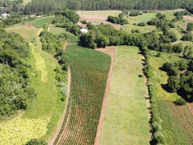Sítio e chácara venda em Região Geográfica Imediata de Santa Cruz do Sul, Santa Cruz do Sul