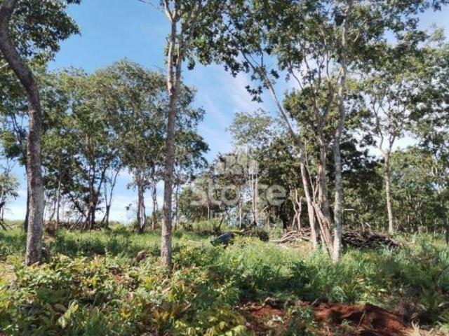 Sítio e chácara venda em Região Geográfica Imediata de Uberlândia, Indianópolis