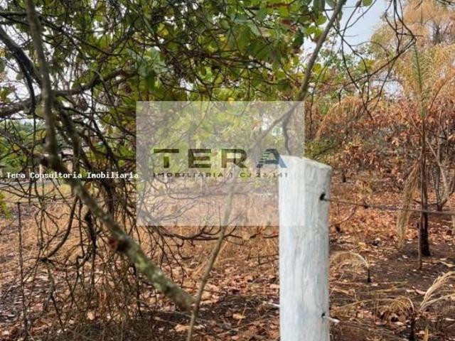 Sítio e chácara venda em Região Geográfica Imediata de Goiânia, Bela Vista de Goiás
