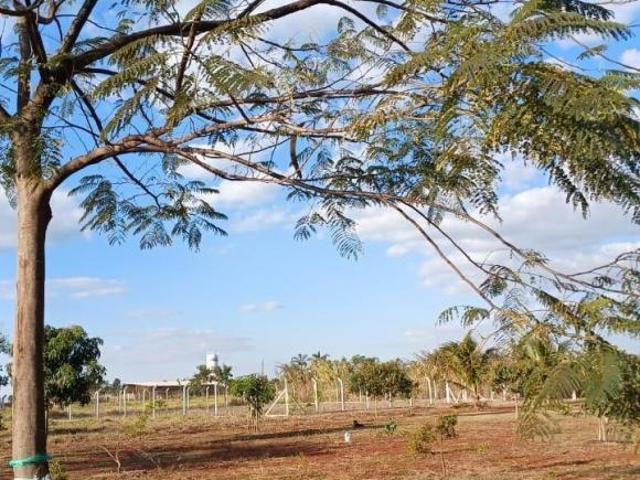Sítio e chácara venda em Região Geográfica Imediata de Uberlândia, Oliveira Fortes