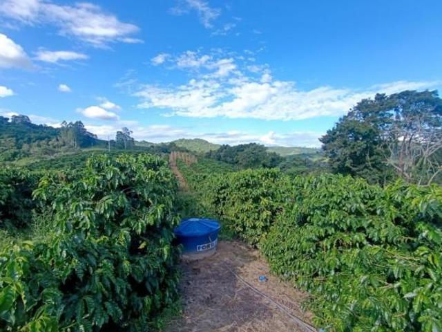 Sítio e chácara venda em Região Geográfica Imediata de Lavras, Nepomuceno