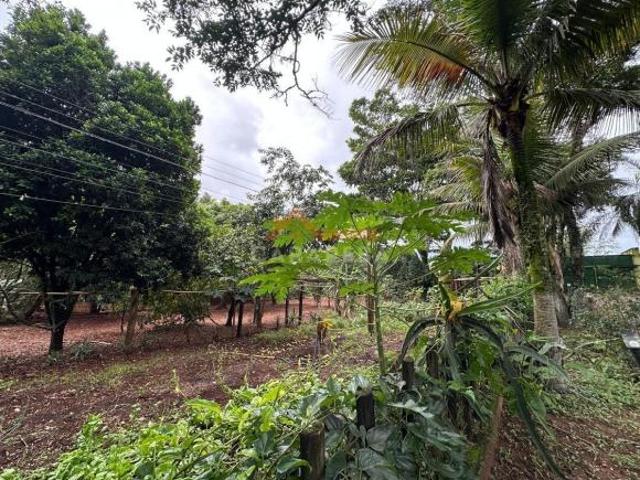 Sítio e chácara venda em Região Imediata de Araras, Região Metropolitana de Piracicaba