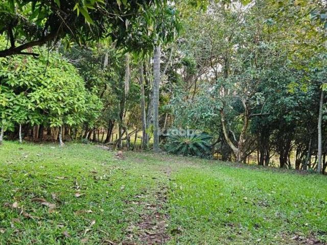 Sítio e chácara venda em Região Geográfica Imediata de Lajeado, Colinas