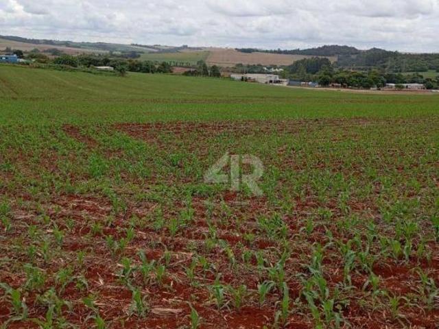 Sítio e chácara venda em Região Geográfica Imediata de Cascavel, Cascavel