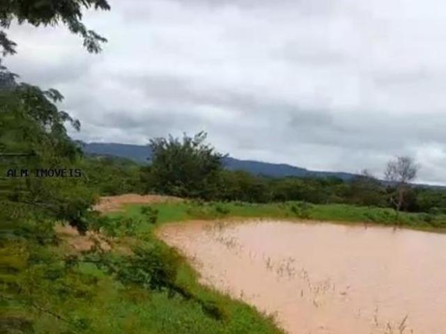 Sítio e chácara venda em Região Geográfica Imediata de Montes Claros, Francisco Sá