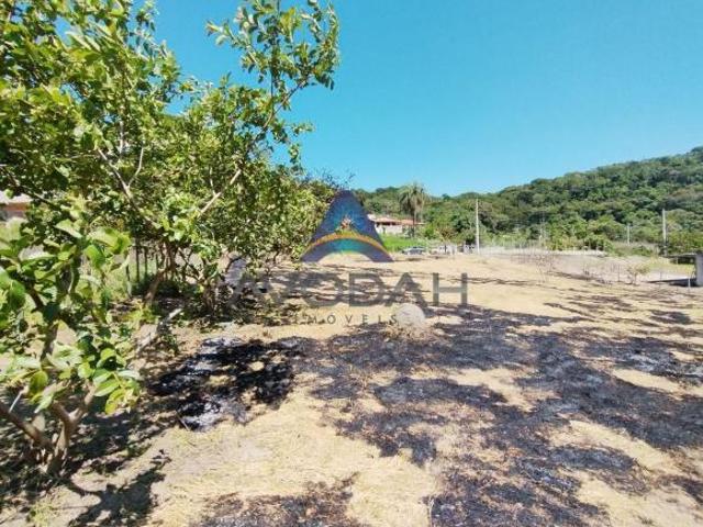 Sítio e chácara venda em Região Geográfica Imediata de Oliveira, Bonfim